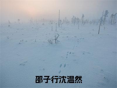 邵子行沈温然(沈温然邵子行)最新免费小说-沈温然邵子行(邵子行沈温然)全文全章节免费阅读
