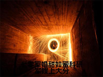 七零军婚甜如蜜科研军嫂上大分（闻倾川沈桑榆）抖音热推小说全集无删减_（闻倾川沈桑榆免费阅读全文大结局）最新章节列表_笔趣阁