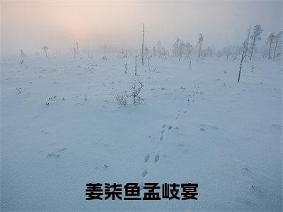 姜柒鱼孟岐宴小说全文(姜柒鱼孟岐宴)全文免费阅读无弹窗大结局_姜柒鱼孟岐宴全文免费阅读无弹窗最新章节列表