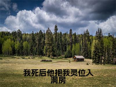 我死后他抱我灵位入洞房（苏媛江北辰）小说精彩免费内容_我死后他抱我灵位入洞房最新章节全文阅读（苏媛江北辰）