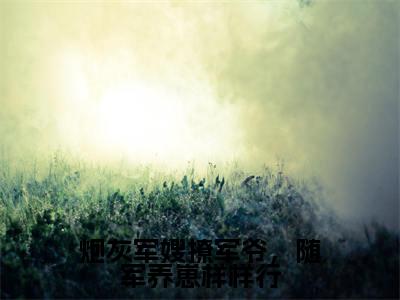 宁禾今日更新最新章节炮灰军嫂撩军爷,随军养崽样样行在线阅读