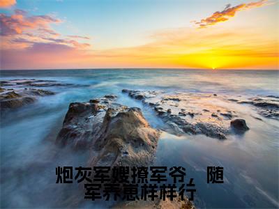 炮灰军嫂撩军爷,随军养崽样样行全本资源免费阅读结局无删节-宁禾小说全文阅读无弹窗(炮灰军嫂撩军爷,随军养崽样样行)