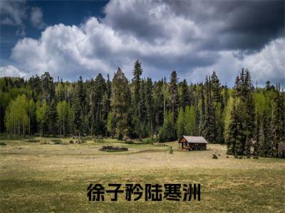 陆寒洲徐子矜小说(徐子矜陆寒洲)完整版大结局-徐子矜陆寒洲小说免费阅读