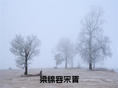 梁锦容宋胥(宋胥梁锦容)小说全文免费阅读_梁锦容宋胥最新章节小说免费阅读_笔趣阁宋胥梁锦容