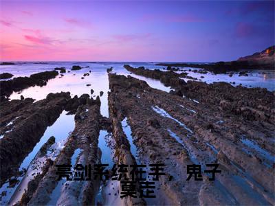 亮剑系统在手，鬼子莫走李云龙冯柒全文免费阅读无弹窗大结局_李云龙冯柒小说免费阅读