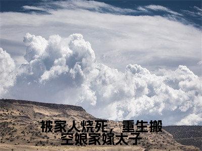 被家人烧死，重生搬空娘家嫁太子小说全文免费阅读苏离洛萧野免费完整版阅读