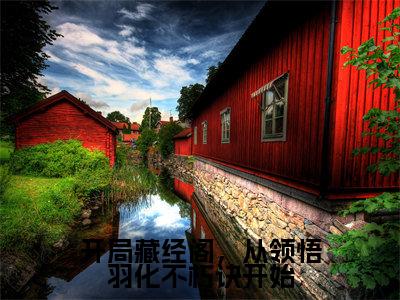 开局藏经阁，从领悟羽化不朽诀开始（白云飞蔺九凤）免费阅读-小说（开局藏经阁，从领悟羽化不朽诀开始）白云飞蔺九凤全文阅读