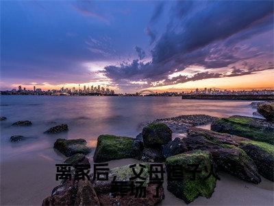 许默谢冰艳小说离家后,父母追子火葬场了全文免费阅读无弹窗-正版小说许默谢冰艳全文阅读(后续+免费)