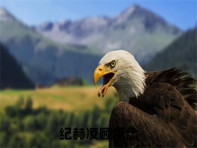 纪赫凌顾绾念(顾绾念纪赫凌)最新章节在线阅读-老书虫推荐纪赫凌顾绾念小说