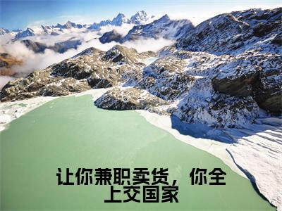 （让你兼职卖货，你全上交国家）全文免费阅读-让你兼职卖货，你全上交国家（林恒严磊）最新章节列表阅读