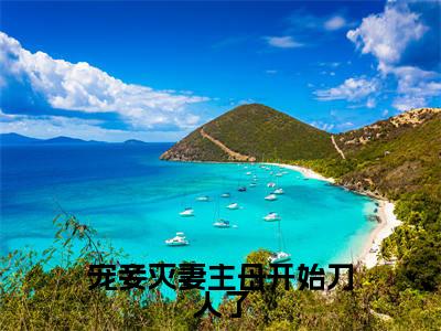 宠妾灭妻主母开始刀人了全文（谢莞）全文免费阅读无弹窗大结局_（谢莞）最新章节列表