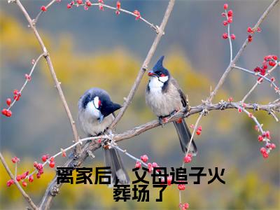离家后，父母追子火葬场了免费小说（许默谢冰艳）全文免费阅读无弹窗大结局_许默谢冰艳最新章节列表_笔趣阁