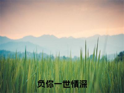负你一世情深(傅擎深安年)全文免费阅读无弹窗大结局_负你一世情深最新章节列表(傅擎深安年)