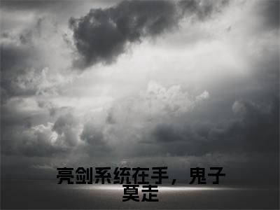 亮剑系统在手,鬼子莫走(冯柒李云龙)全文免费阅读无弹窗_(冯柒李云龙小说全文免费阅读)亮剑系统在手,鬼子莫走最新章节列表笔趣阁