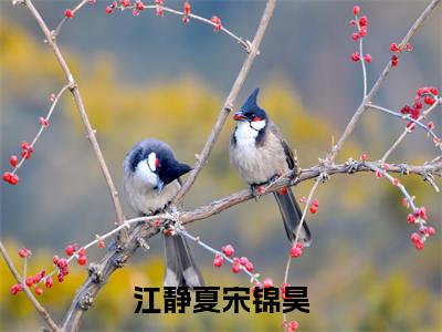 （宋锦昊江静夏番外+免费）江静夏宋锦昊小说主角叫什么-宋锦昊江静夏全文免费阅读大结局