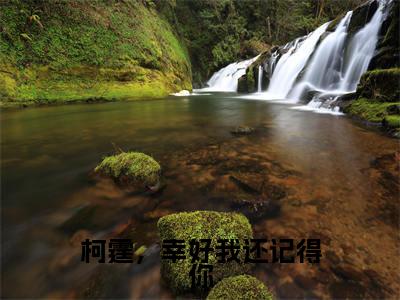柯霆，幸好我还记得你（许曦绵傅柯霆）全文免费阅读无弹窗大结局_许曦绵傅柯霆小说最新章节列表_笔趣阁
