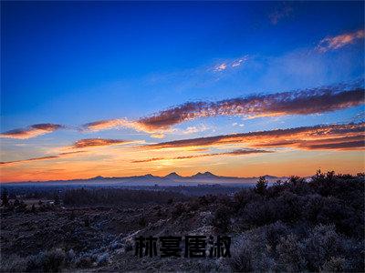 唐淑林宴(林宴唐淑)全文免费阅读-(唐淑林宴)林宴唐淑最新章节小说阅读-笔趣阁