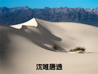 唐逸沈唯(沈唯唐逸)全文免费唐逸沈唯读无弹窗大结局_唐逸沈唯免费沈唯唐逸读最新章节列表_笔趣阁