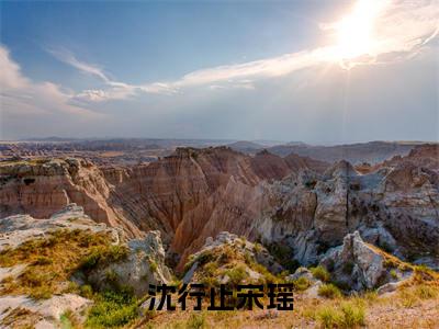 沈行止宋瑶小说全文免费阅读_沈行止宋瑶(宋瑶沈行止)最新章节列表在线阅读