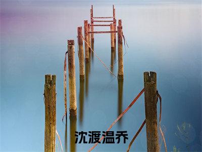 沈渡温乔（温乔沈渡）全文免费阅读无弹窗大结局_（沈渡温乔）温乔沈渡最新章节列表_笔趣阁