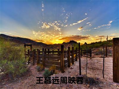 周映蓉王慕远(王慕远周映蓉)全文免费阅读无弹窗大结局_周映蓉王慕远最新章节列表