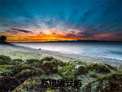 苏绾唐安屿(唐安屿苏绾)全文免费阅读无弹窗_唐安屿苏绾最新小说精彩推荐