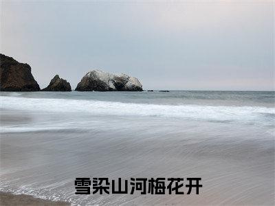 温絮段澈雪染山河梅花开老书虫推荐小说免费阅读_（温絮段澈）完整版全文在线赏析