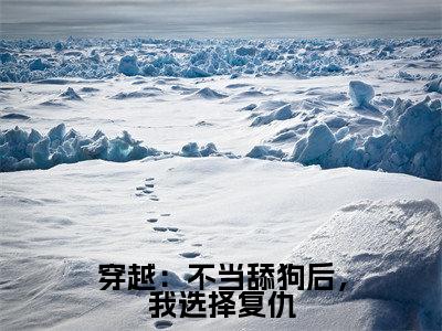 穿越：不当舔狗后，我选择复仇小说全文免费阅读-（顾碗叶一山）抖音新书热荐穿越：不当舔狗后，我选择复仇全文免费阅读（顾碗叶一山番外+免费）