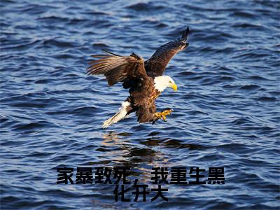 家暴致死,我重生黑化开大(沈宁)全文免费阅读无弹窗大结局_家暴致死,我重生黑化开大(沈宁)最新章节列表