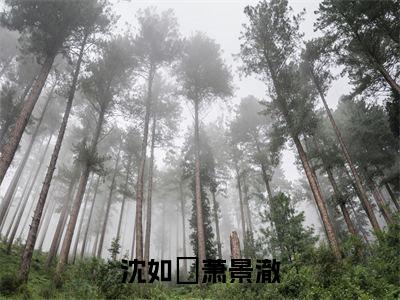 沈如玥萧景澈（萧景澈沈如玥）全文免费阅读无弹窗大结局_萧景澈沈如玥无弹窗最新章节列表_笔趣阁