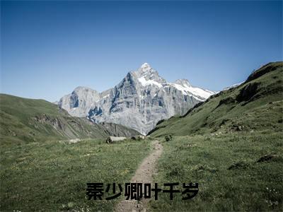 秦少卿叶千岁（叶千岁秦少卿）小说在线阅读_秦少卿叶千岁全本免费小说阅读（叶千岁秦少卿）