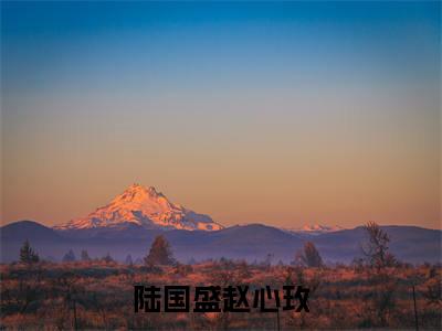 主角是赵心玫陆国盛的小说-陆国盛赵心玫全章节在线阅读