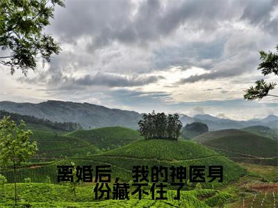 离婚后,我的神医身份藏不住了(秦风)全文免费阅读无弹窗-(离婚后,我的神医身份藏不住了)秦风小说全文在线赏析