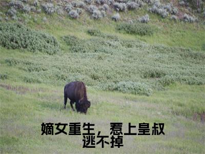 慕清清(嫡女重生,惹上皇叔逃不掉)小说免费阅读_慕清清精选小说全文阅读(嫡女重生,惹上皇叔逃不掉)