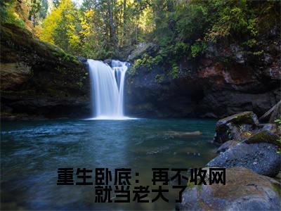 重生卧底:再不收网就当老大了(陈宇)精彩小说-陈宇全章节免费阅读