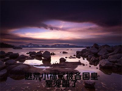 逃荒小福宝被各国皇室宠翻了是什么小说-沈致宋晏宁全文免费阅读无弹窗大结局（逃荒小福宝被各国皇室宠翻了）最新章节阅读