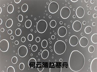 赵寒舟何云曦全文免费阅读大结局何云曦赵寒舟最新章节列表(全文)+(番外)