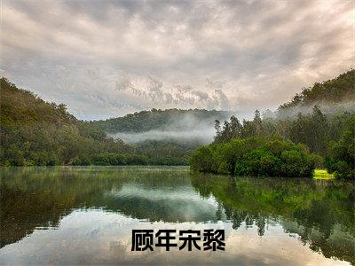 顾年宋黎全文免费阅读无弹窗大结局-顾年宋黎小说在哪里可以看