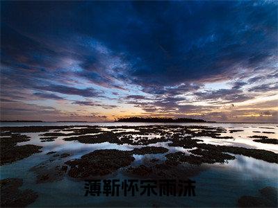 薄靳怀宋雨沫小说全文免费阅读（宋雨沫薄靳怀）全文免费阅读无弹窗大结局