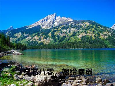 穿书八零,嫁给病弱美男(叶琳琳苏辰淮)全文免费阅读无弹窗大结局_(叶琳琳苏辰淮)章节列表_笔趣阁