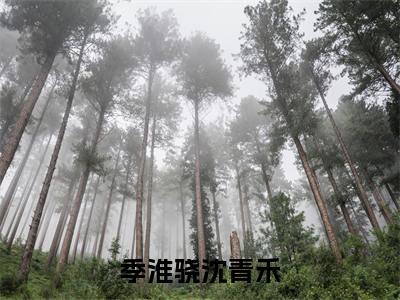 (免费)+(番外)主角是季淮骁沈青禾的小说-季淮骁沈青禾全文无弹窗免费阅读