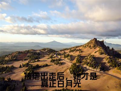 乔予栀(被虐出走后,她才是真正白月光)全文免费阅读无弹窗大结局_(被虐出走后,她才是真正白月光)乔予栀最新章节列表笔趣阁
