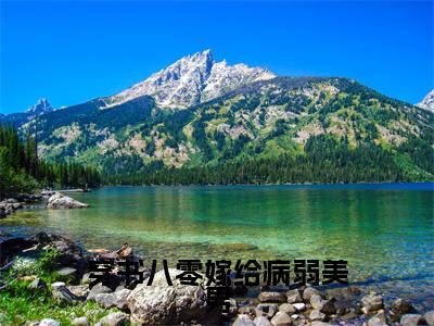 (全文)+(后续)(叶琳琳苏辰淮)穿书八零嫁给病弱美男老书虫推荐小说热文-穿书八零嫁给病弱美男最新更新免费阅读