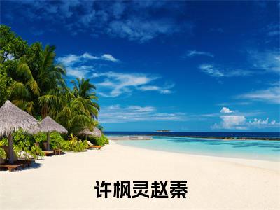 许枫灵赵秦(许枫灵赵秦)全文免费阅读无弹窗大结局_许枫灵赵秦小说最新章节列表_笔趣阁