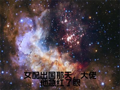 女配出国那天,大佬他急红了眼全文免费阅读无弹窗大结局_(叶知音霍君夜免费阅读)女配出国那天,大佬他急红了眼最新章节在线阅读_笔趣阁