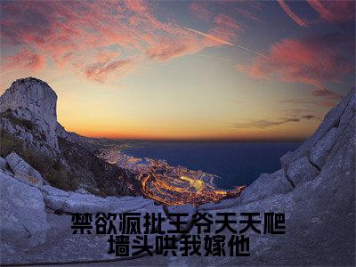 禁欲疯批王爷天天爬墙头哄我嫁他(穆凌霄)免费全文阅读小说_(禁欲疯批王爷天天爬墙头哄我嫁他)穆凌霄最新章节列表-笔趣阁