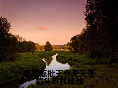 穆凌霄全文免费阅读大结局-禁欲疯批王爷天天爬墙头哄我嫁他最新章节阅读