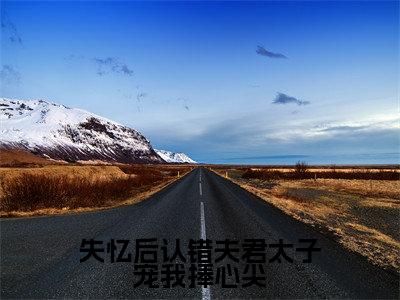 失忆后认错夫君太子宠我捧心尖(苏渺渺)全文免费阅读无弹窗大结局_失忆后认错夫君太子宠我捧心尖最新章节列表_笔趣阁(苏渺渺)