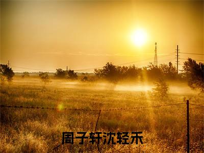 小说（周子轩沈轻禾）全文免费阅读_（沈轻禾周子轩）小说全文免费阅读