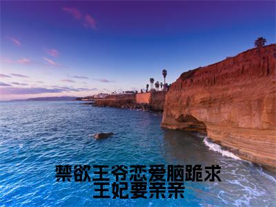 沈思悔小说在线阅读全文无弹窗_禁欲王爷恋爱脑跪求王妃要亲亲小说最新全文完整无删减版